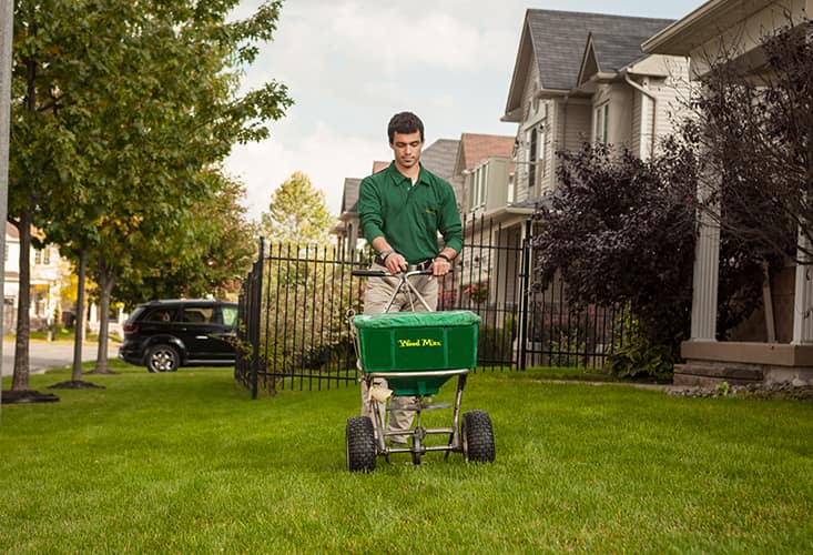 $29.95 First Lawn Care Application